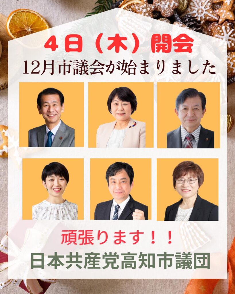高知市議会　12月　藤木真由美